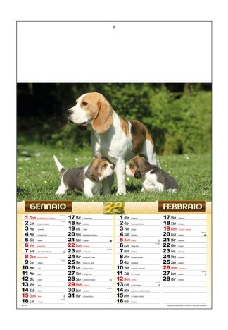Calendario illustrato cani