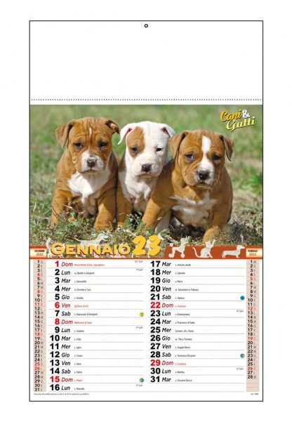 Calendario illustrato Cani e Gatti