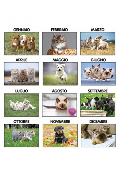 Calendario illustrato Cani e Gatti 2024